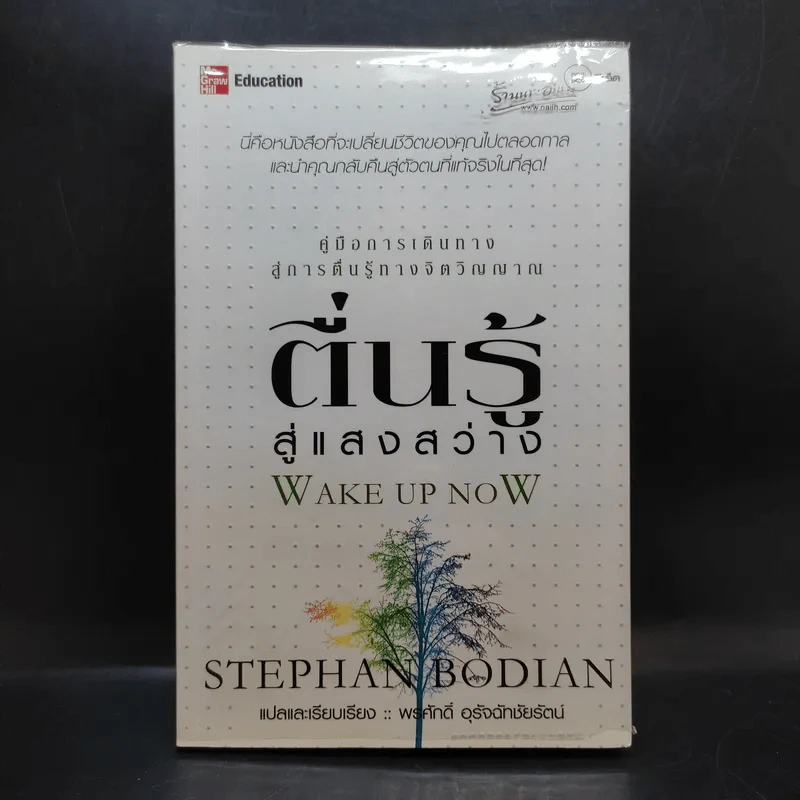ตื่นรู้สู่แสงสว่าง - Stephan Bodian รูปที่ 1