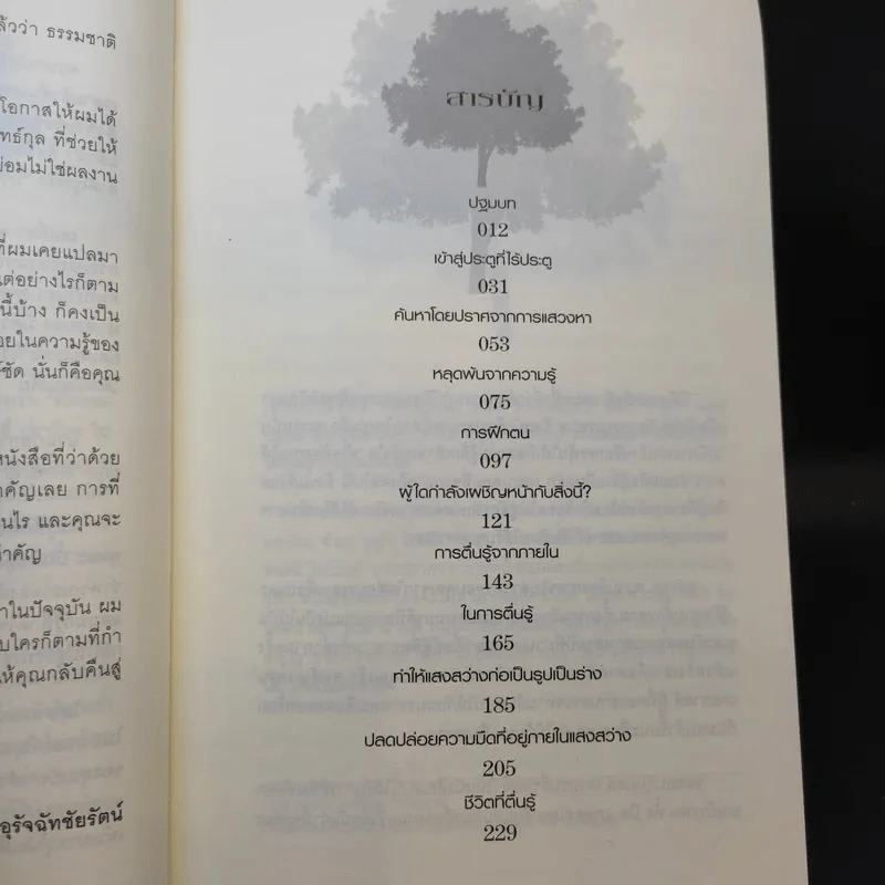 ตื่นรู้สู่แสงสว่าง - Stephan Bodian รูปที่ 12
