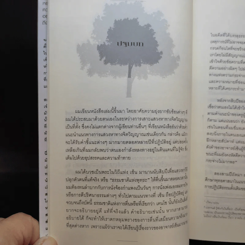 ตื่นรู้สู่แสงสว่าง - Stephan Bodian รูปที่ 14