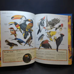 The Big Book of Animals รูปที่ 17