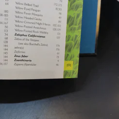 The Big Book of Animals รูปที่ 19