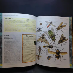 The Big Book of Animals รูปที่ 13