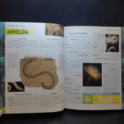 The Big Book of Animals รูปที่ 11