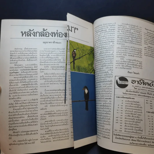 อนุสาร อ.ส.ท. ปีที่ 25 ฉบับที่ 4 พ.ย.2527 งานวันแห่งประวัติศาสตร์กรุงศรีอยุธยา รูปที่ 11