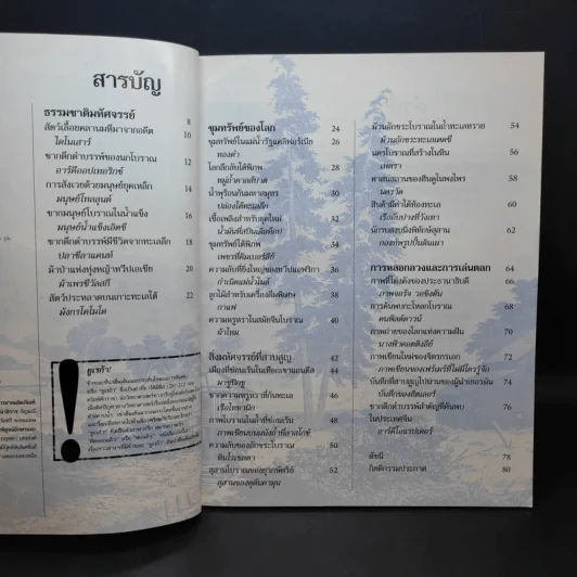 เบื้องหลังการค้นพบสิ่งอัศจรรย์ของโลก รูปที่ 10