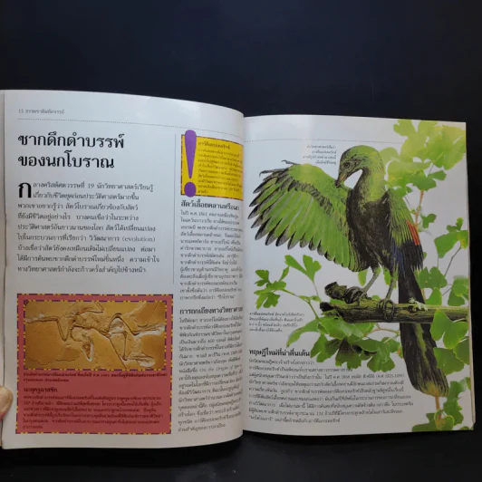 เบื้องหลังการค้นพบสิ่งอัศจรรย์ของโลก รูปที่ 12