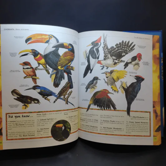 The Big Book of Animals รูปที่ 17