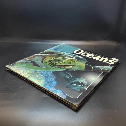 Oceans In Depth รูปที่ 7