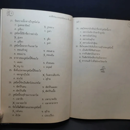 แบบฝึกหัดการอ่านจับใจความ ชั้นประถมศึกษาปีที่ 3 รูปที่ 12