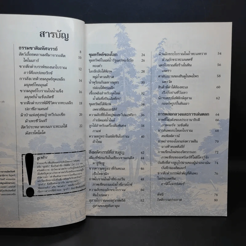 เบื้องหลังการค้นพบสิ่งอัศจรรย์ของโลก รูปที่ 10