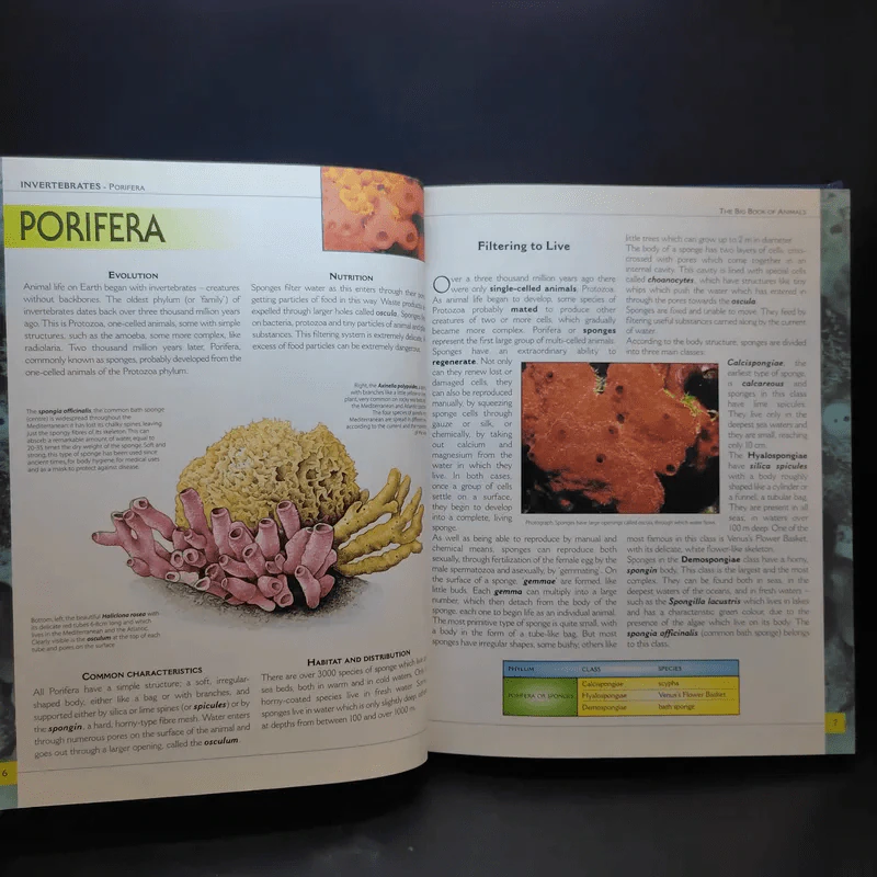 The Big Book of Animals รูปที่ 10