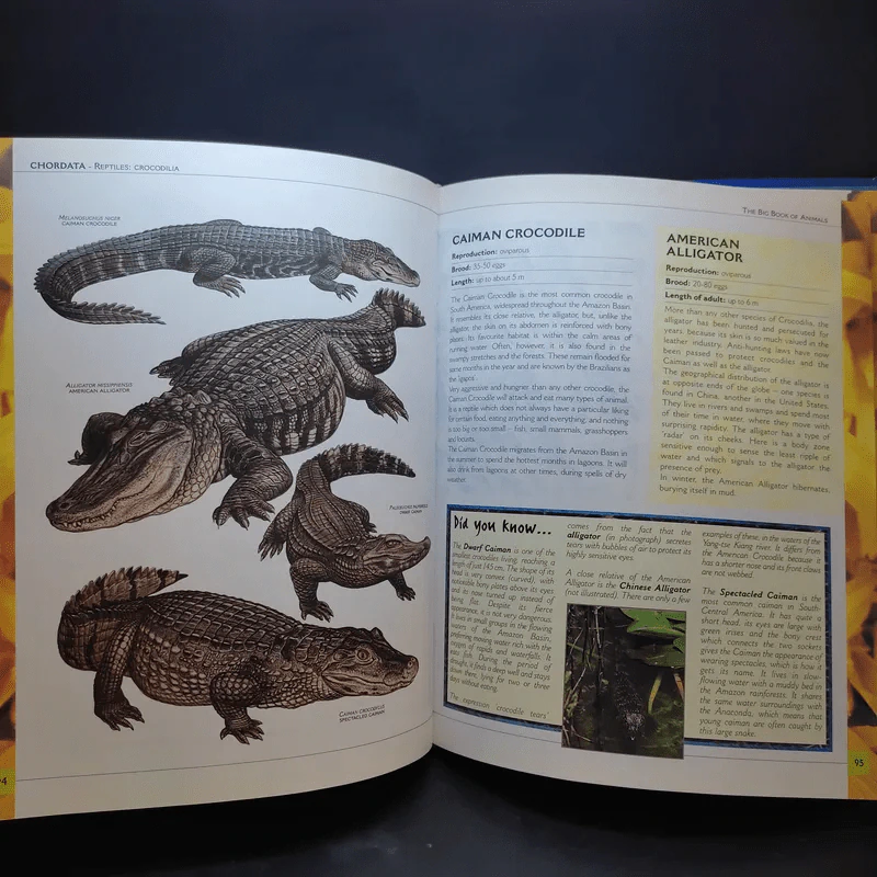 The Big Book of Animals รูปที่ 15