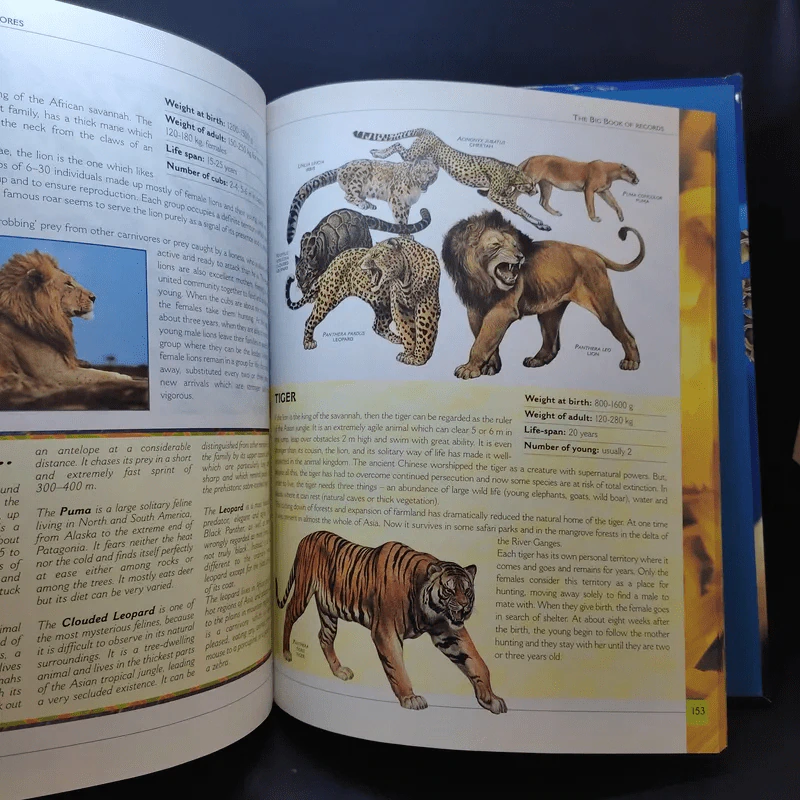 The Big Book of Animals รูปที่ 18
