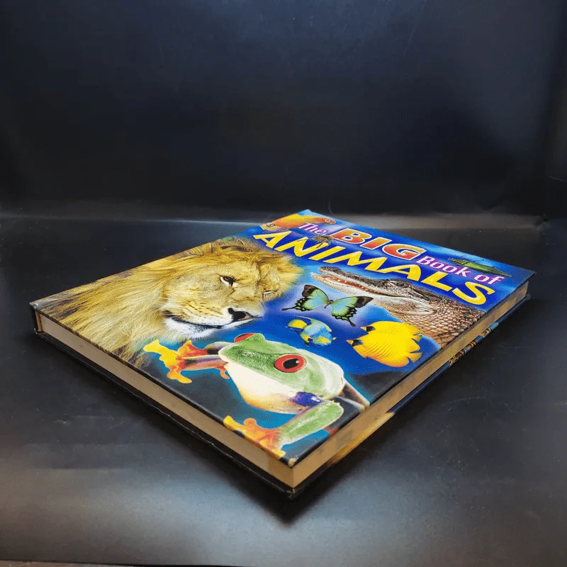 The Big Book of Animals รูปที่ 7