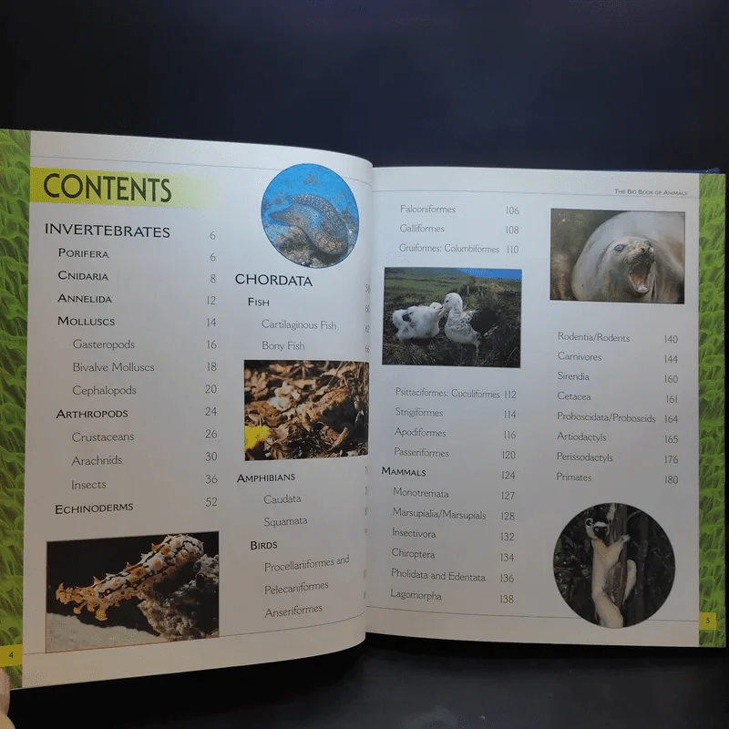 The Big Book of Animals รูปที่ 9