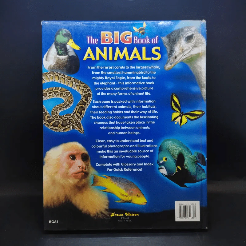 The Big Book of Animals รูปที่ 2