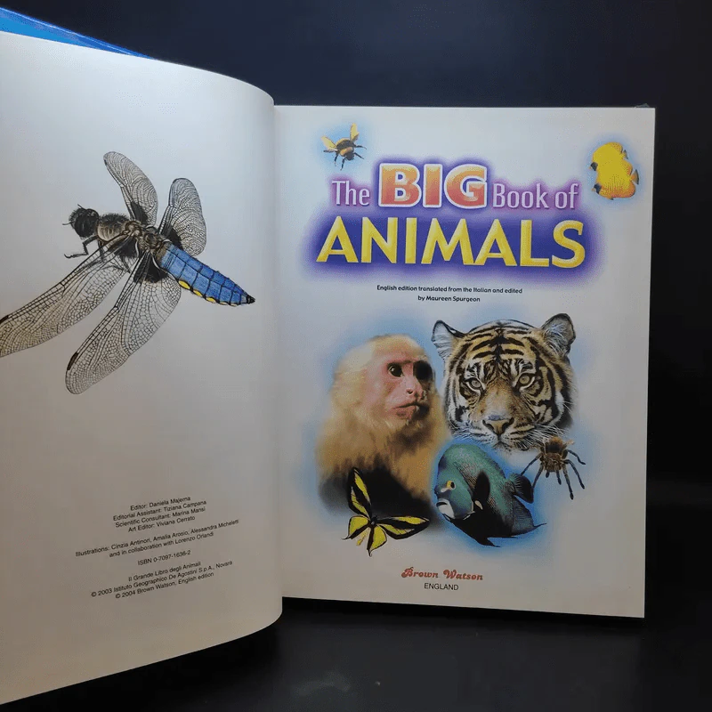 The Big Book of Animals รูปที่ 8