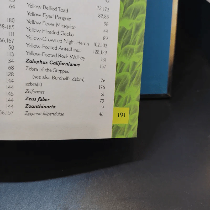 The Big Book of Animals รูปที่ 19