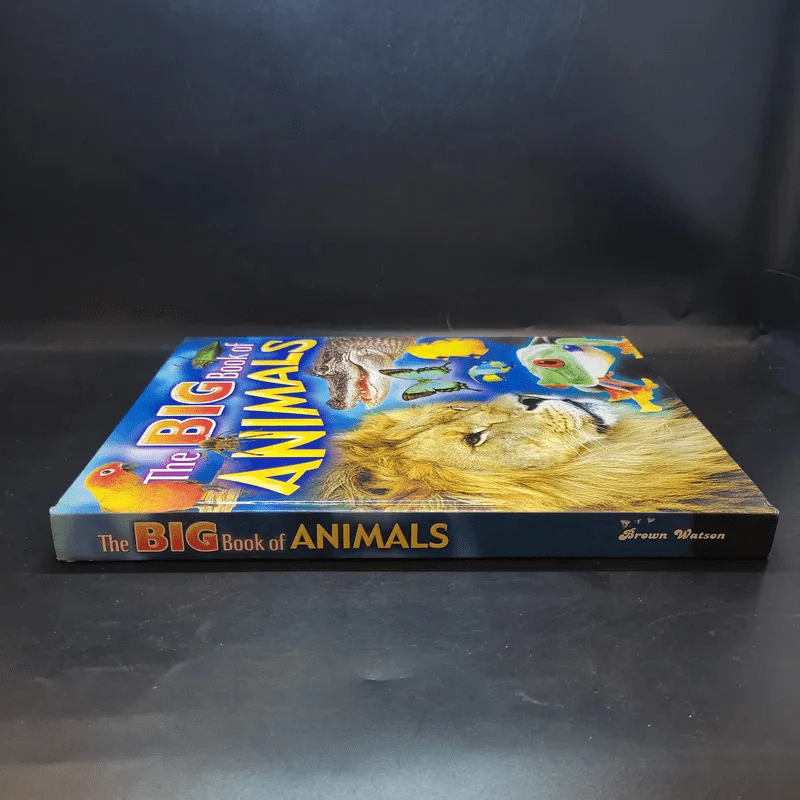 The Big Book of Animals รูปที่ 3