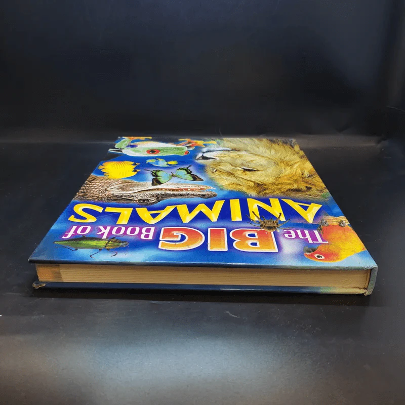 The Big Book of Animals รูปที่ 6