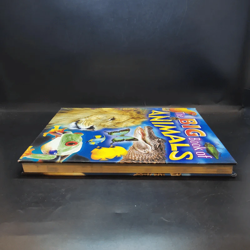 The Big Book of Animals รูปที่ 5