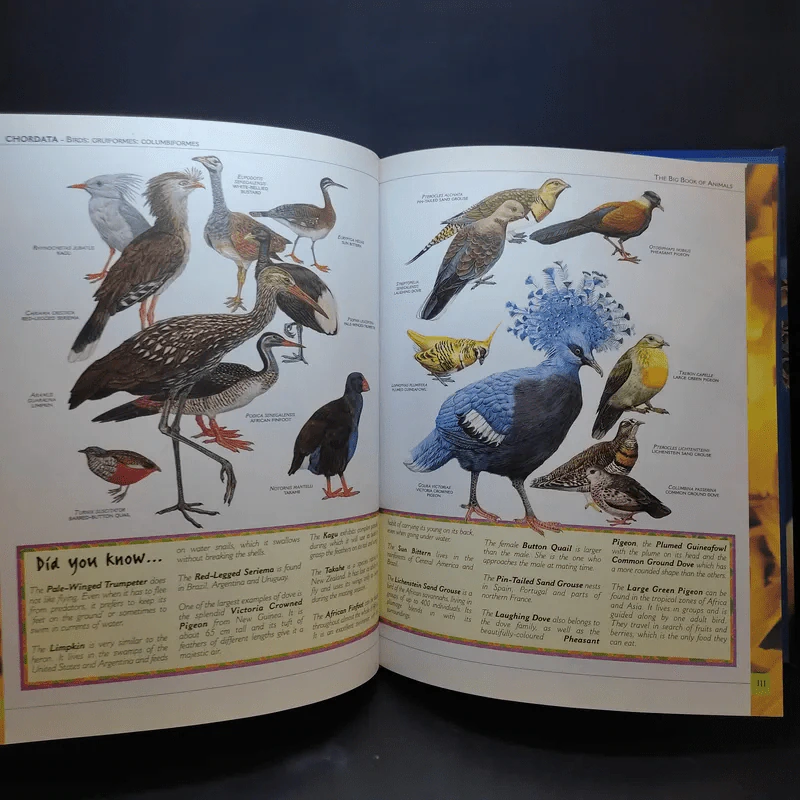 The Big Book of Animals รูปที่ 16