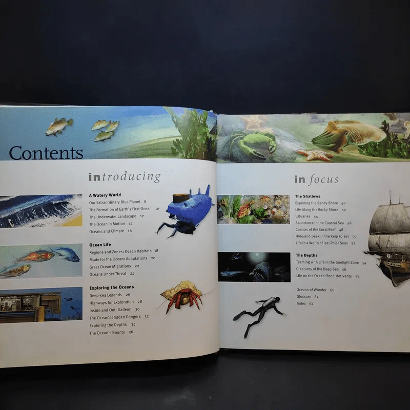 Oceans In Depth รูปที่ 9