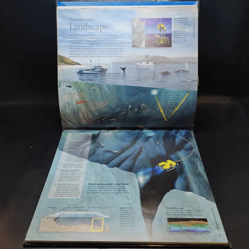 Oceans In Depth รูปที่ 11