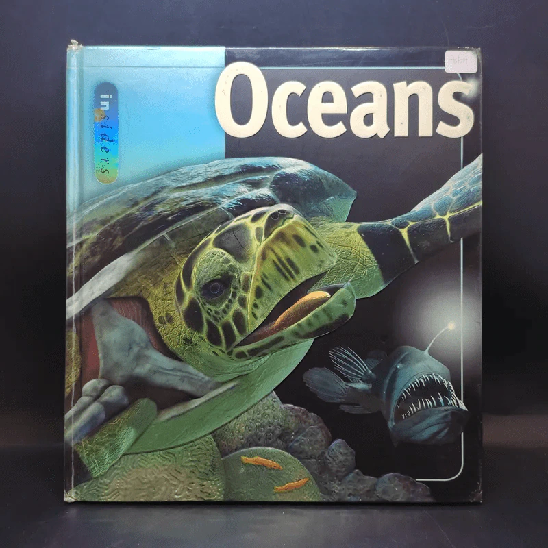 Oceans In Depth รูปที่ 1