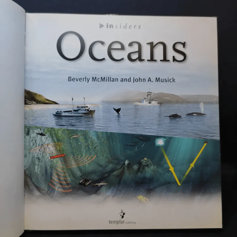 Oceans In Depth รูปที่ 8