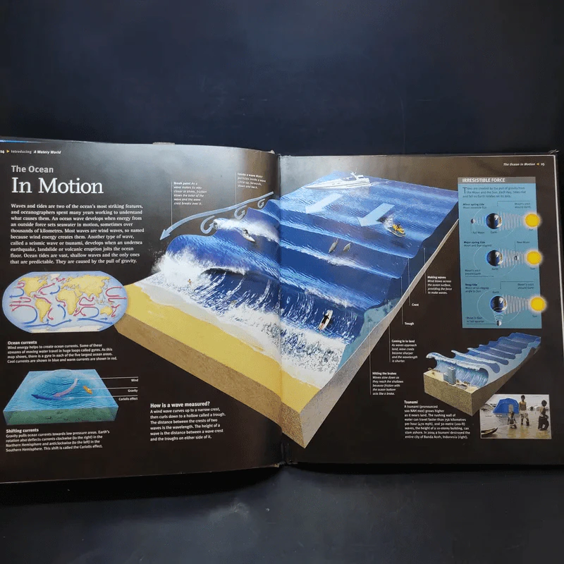 Oceans In Depth รูปที่ 12
