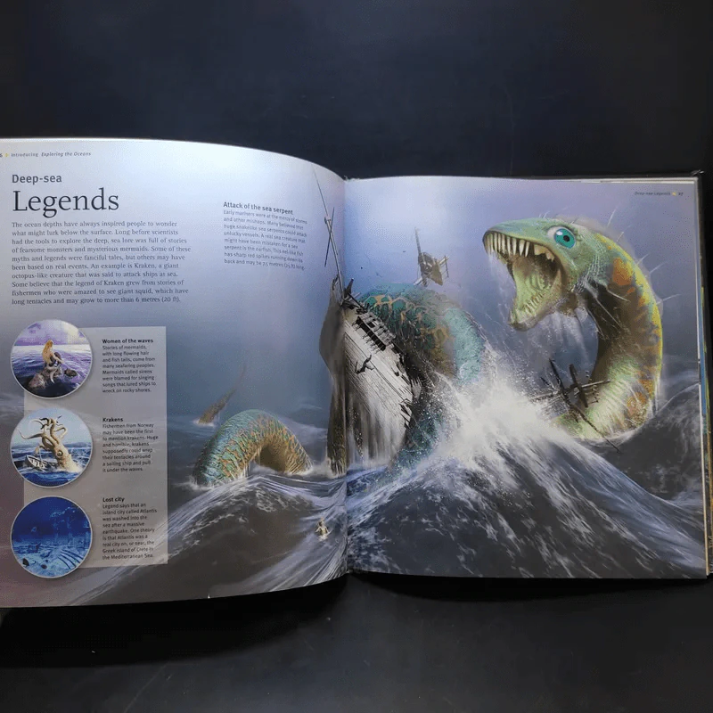 Oceans In Depth รูปที่ 13