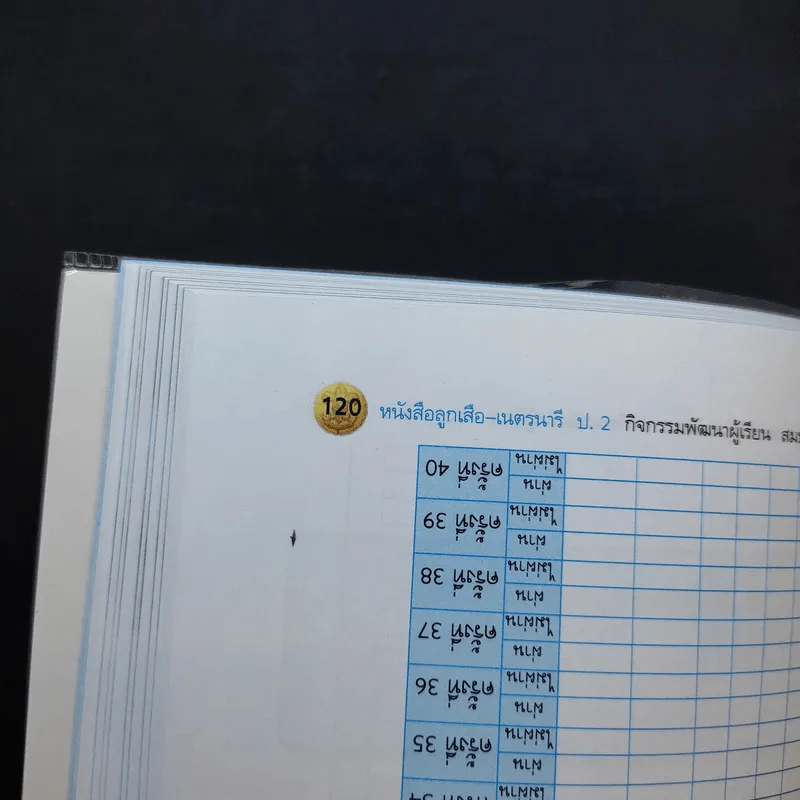 ลูกเสือ-เนตรนารี ป.2 รูปที่ 10