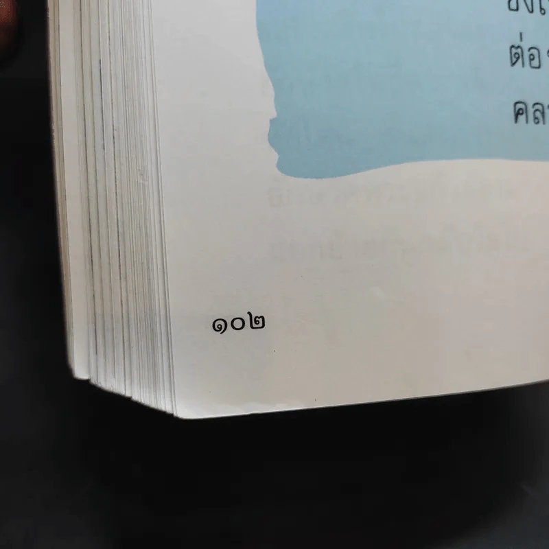 วรรณคดีลำนำ ชั้นประถมศึกษาปีที่ 2 รูปที่ 12