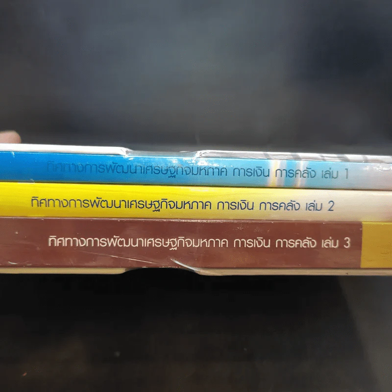 ทิศทางการพัฒนา เศรษฐกิจมหภาค การเงิน การคลัง เล่ม 1-3 Boxset รูปที่ 3