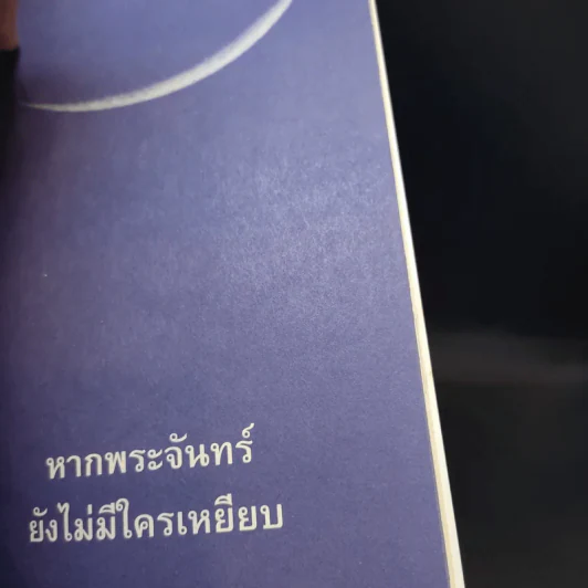 พระจันทร์พันดวง - ปราย พันแสง รูปที่ 17