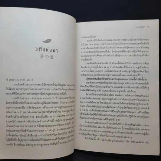 มากกว่าชา - ภูพิงค์ มะโน รูปที่ 9