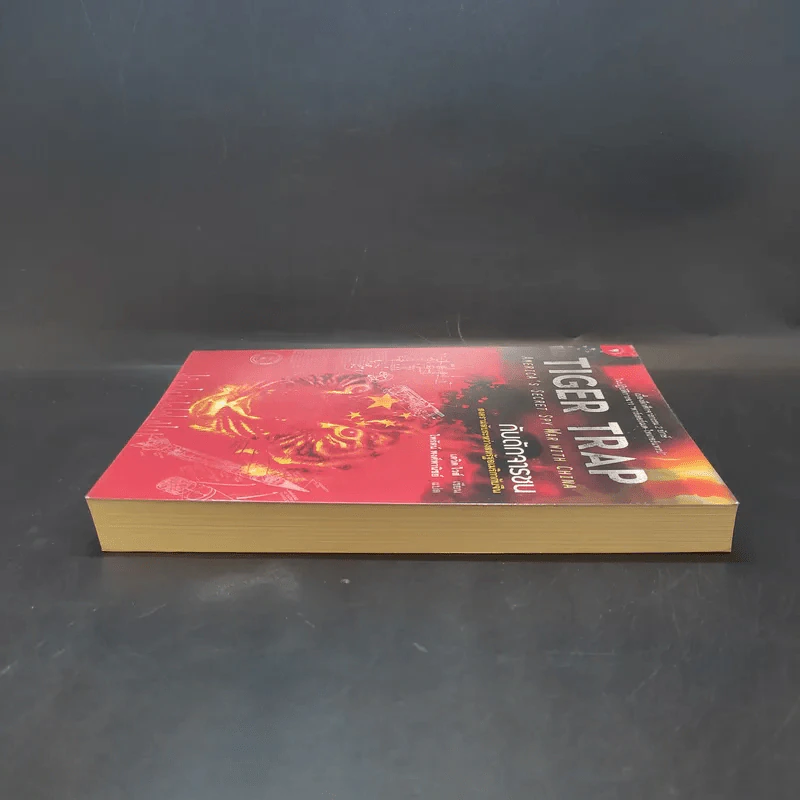Tiger Trap กับดักจารชน สงครามลับระหว่างสหรัฐอเมริกากับจีน - เดวิด ไวส์ รูปที่ 5