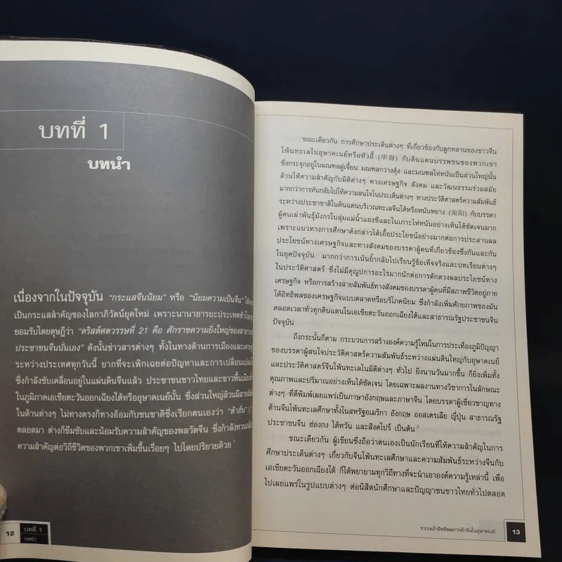 รากเหง้าอิทธิพลการค้าจีนในอุษาคเนย์ - ภูวดล ทรงประเสริฐ รูปที่ 10