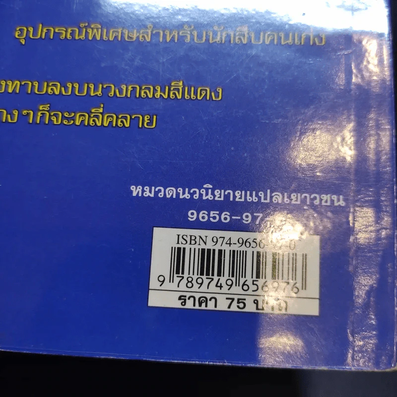 แผนโจรกรรม กระเป๋าเหลือง เล่มที่ 3 รูปที่ 13