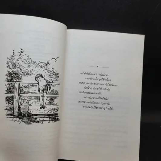 บ้านมุมพูห์ The House at Pooh Corner - เอ.เอ.มิลน์ รูปที่ 10
