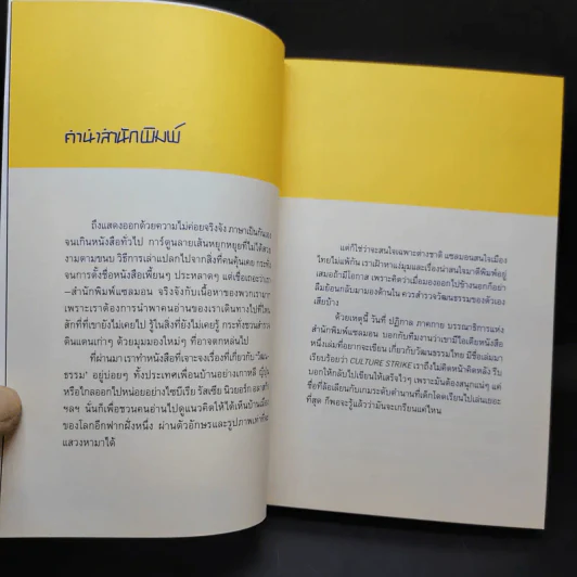 CULTURE STRIKE ไม่ไทยแลนด์ ทำแทนไม่ได้ - ปฏิกาล ภาคกาย รูปที่ 9