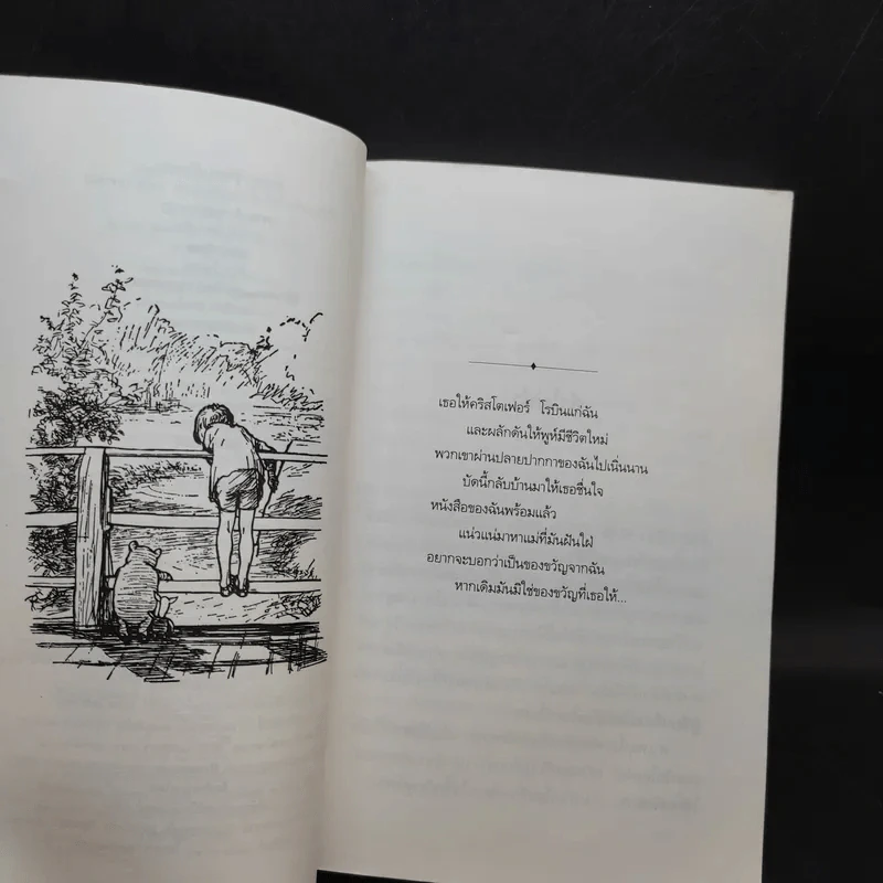 บ้านมุมพูห์ The House at Pooh Corner - เอ.เอ.มิลน์ รูปที่ 10
