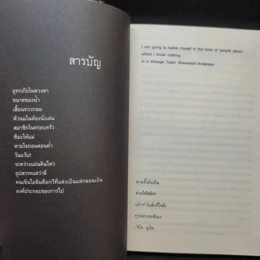 อุทกภัยในดวงตา - ปราบดา หยุ่น รูปที่ 9