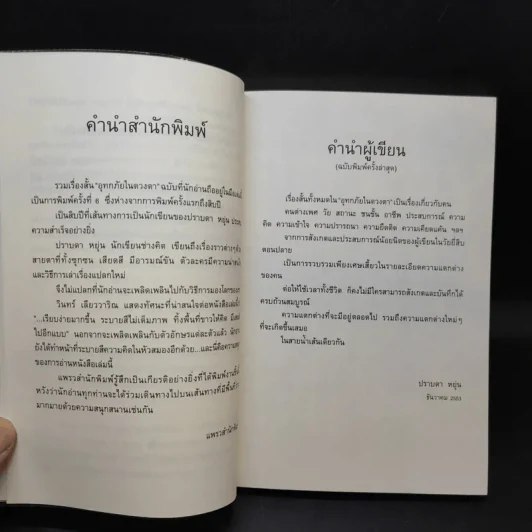 อุทกภัยในดวงตา - ปราบดา หยุ่น รูปที่ 10