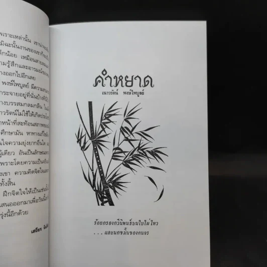 คำหยาด - เนาวรัตน์ พงษ์ไพบูลย์ รูปที่ 12