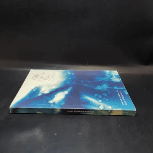 Girl from the Sea ของฝากจากทะเล รูปที่ 3