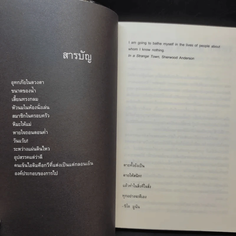 อุทกภัยในดวงตา - ปราบดา หยุ่น รูปที่ 9