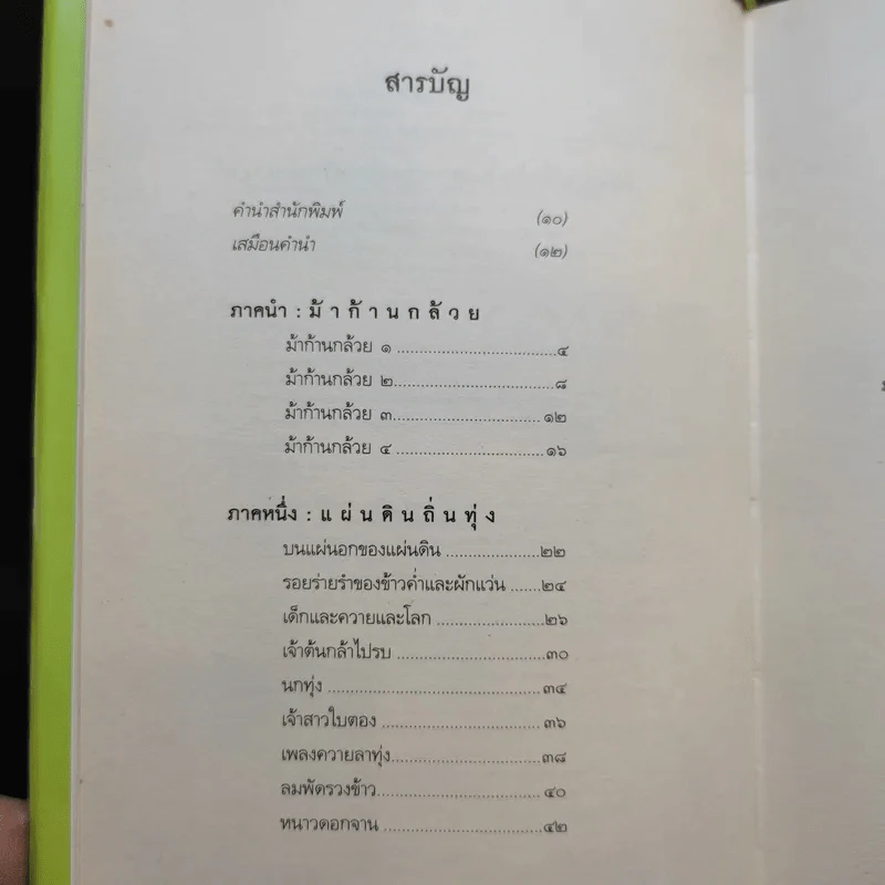 ม้าก้านกล้วย - ไพวรินทร์ ขาวงาม รูปที่ 10