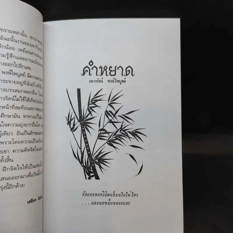 คำหยาด - เนาวรัตน์ พงษ์ไพบูลย์ รูปที่ 12